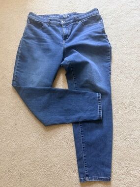 Style & Co. Dark Blue Skinny Jeans